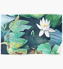 Water lilies - art by Adele Pelizzoni Poster