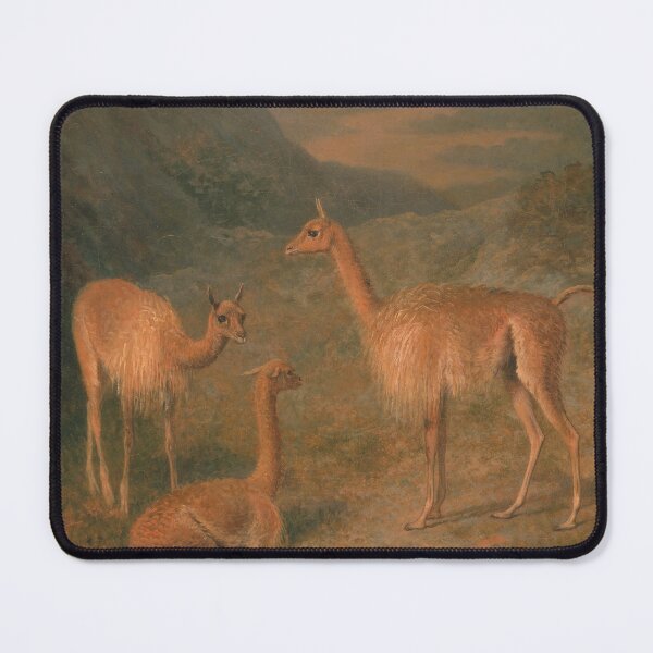 Item preview, Vicunas Llama by Jacques-Laurent Agasse, 1831 designed and sold by Vintage Wall Art.