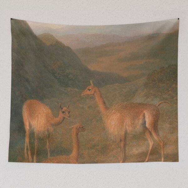 Item preview, Vicunas Llama by Jacques-Laurent Agasse, 1831 designed and sold by Vintage Wall Art.