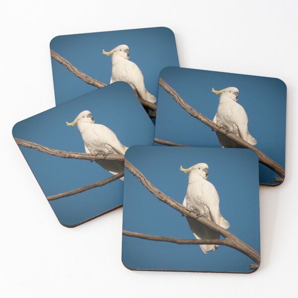 Item preview, Sulphur Crested Cockatoo designed and sold by maverick.
