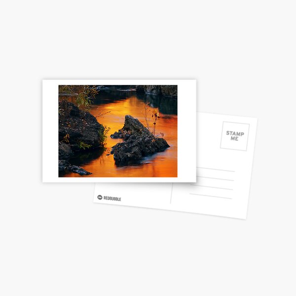 Autumn Fire Postcard