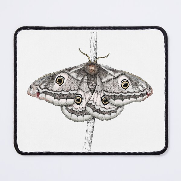 Item preview, Female Emperor Moth (Saturnia pavonia) designed and sold by ABCmicrogrants.