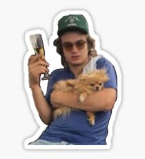 joe keery (ft. dog) Sticker