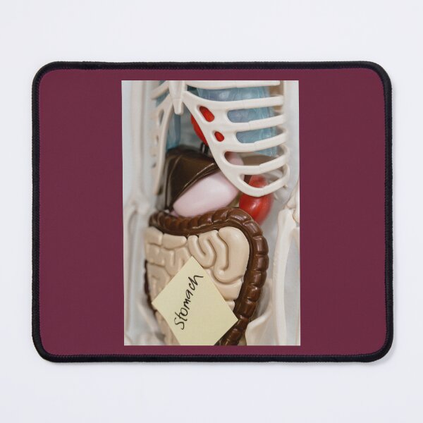 Item preview, What's Up Your Intestine designed and sold by Harshly.