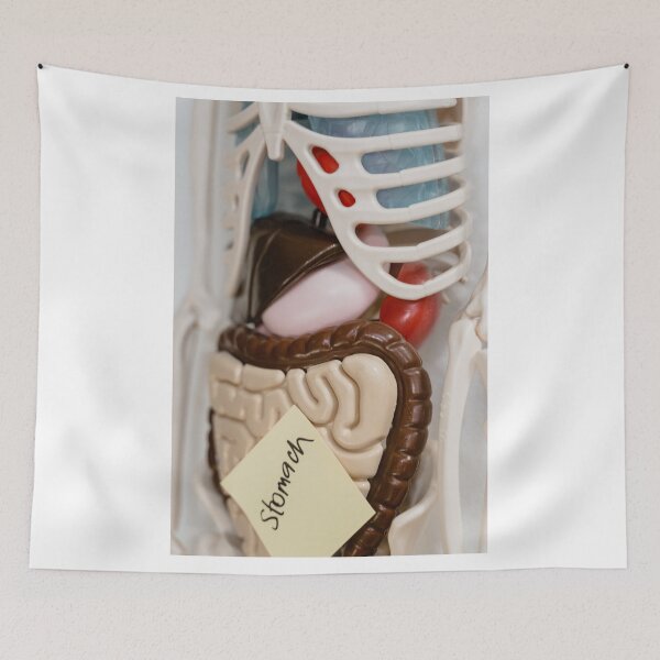 Item preview, What's Up Your Intestine  designed and sold by Harshly.