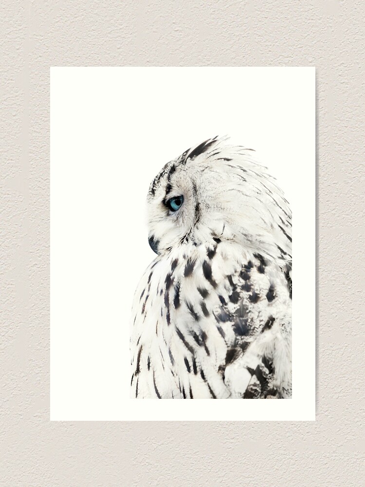 White Owl Print Polar Bird Scandinavian Art Art Print For Sale By white-owl-print-polar-bird-scandinavian-art-art-print-for-sale-by