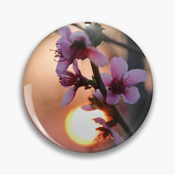 Artikelvorschau, Cherry Tree Blooming Close Up Photo entworfen und verkauft von Angela Cini.