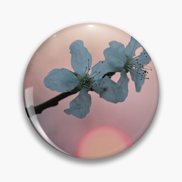 Artikelvorschau, Cherry Tree Blooming Close Up Photo entworfen und verkauft von Angela Cini.
