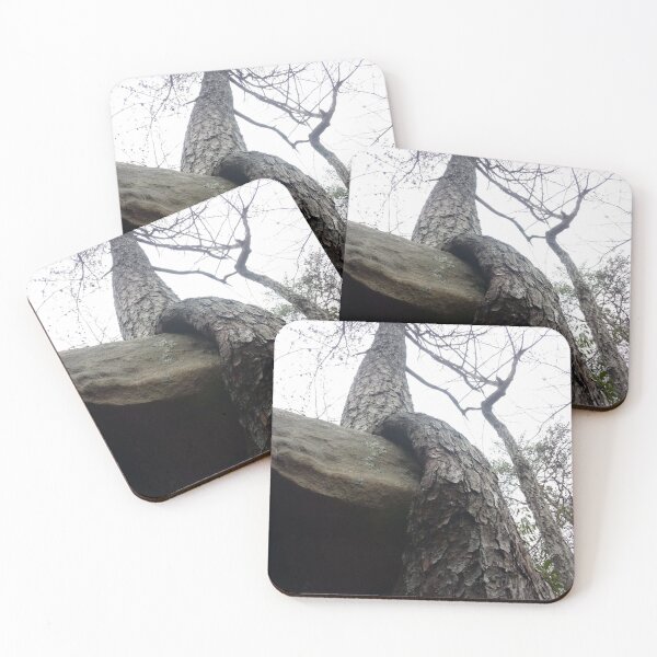 Item preview, Tree growing around rock designed and sold by Daerohel.