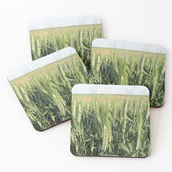 Item preview, Wheat Field Close Up designed and sold by Angela Cini.