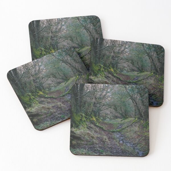 Item preview, Mystical Forest designed and sold by maverick.