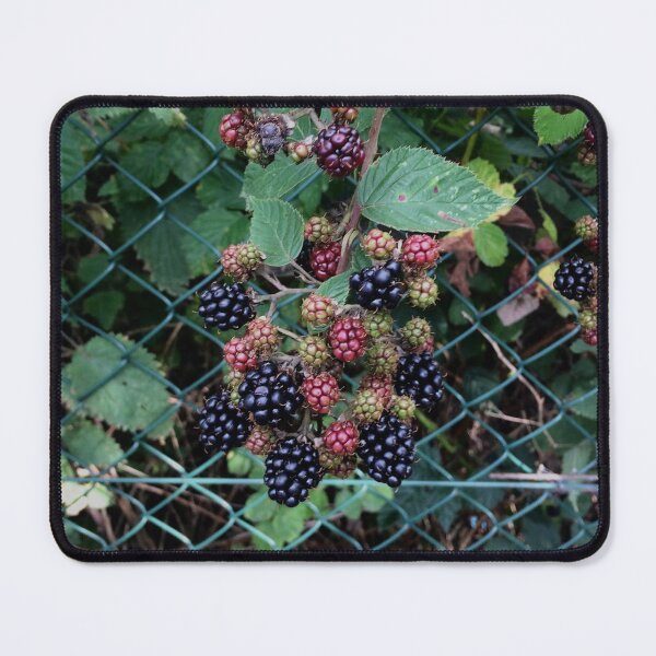 Item preview, Devon designed and sold by SnappedbyRivka.