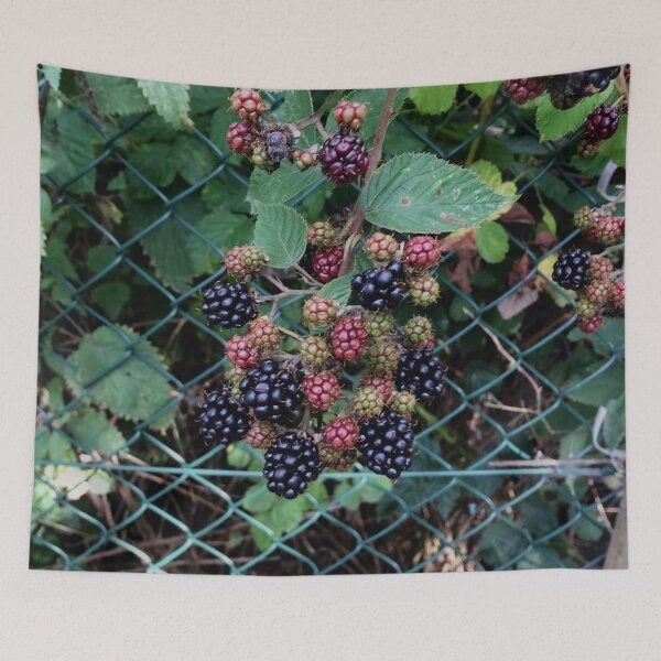 Item preview, Devon designed and sold by SnappedbyRivka.