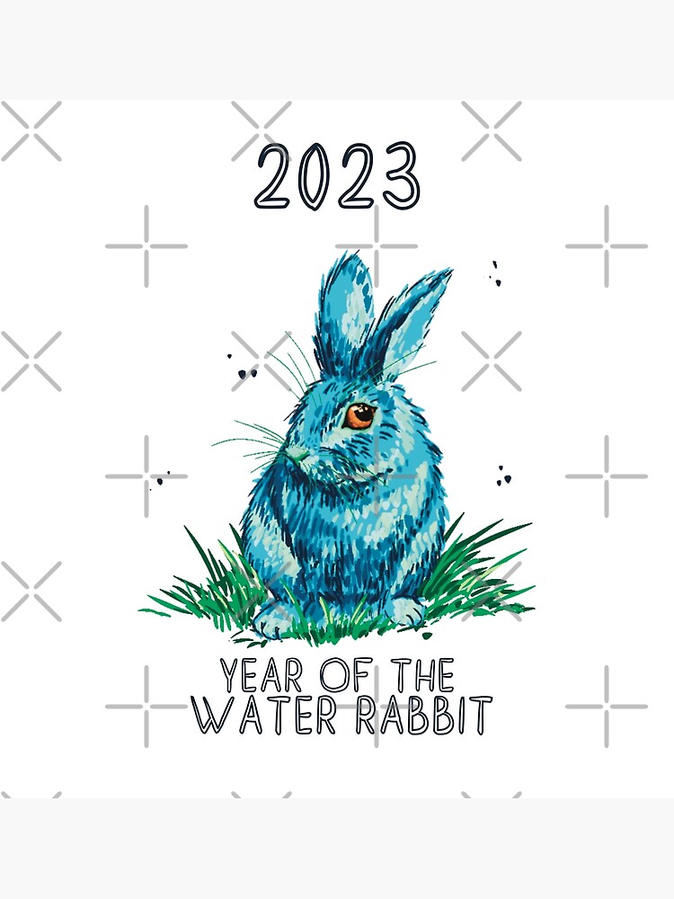 "The Year Of The Water Rabbit 2023" Poster for Sale by Fransyn Redbubble