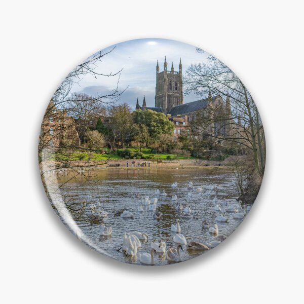 Item preview, Swans and Cathedral, Worcester designed and sold by adam-bullock.