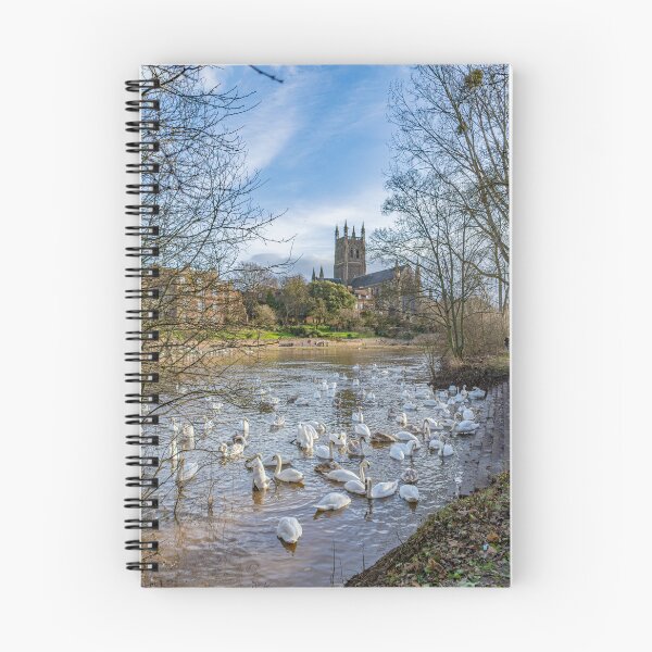 Item preview, Swans and Cathedral, Worcester designed and sold by adam-bullock.