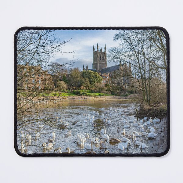 Item preview, Swans and Cathedral, Worcester designed and sold by adam-bullock.