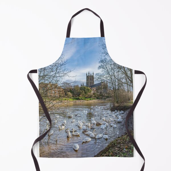 Item preview, Swans and Cathedral, Worcester designed and sold by adam-bullock.