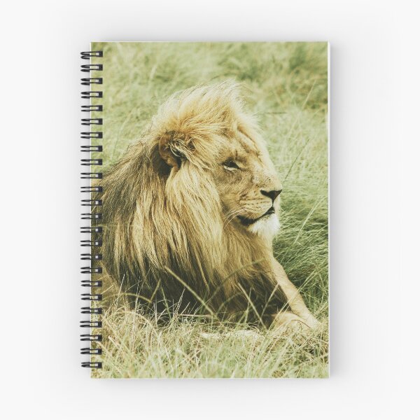 Aperçu de l'œuvre roi Lion créée et vendue par ReljaX.