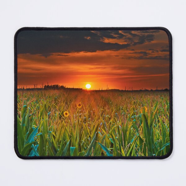 Item preview, SUNSET OVER THE SUNFLOWERS designed and sold by MJ96-PRO.