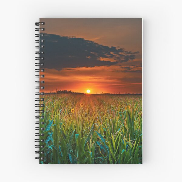 Item preview, SUNSET OVER THE SUNFLOWERS designed and sold by MJ96-PRO.