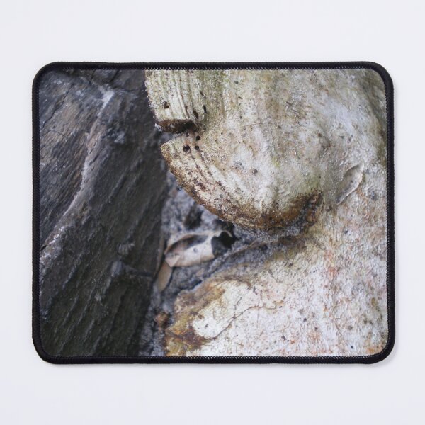 Item preview, Fungi designed and sold by Rebekah  McLeod.