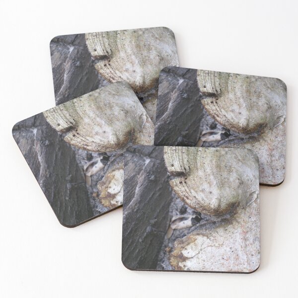 Item preview, Fungi designed and sold by Rebekah  McLeod.