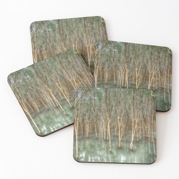 Item preview, Mangrove Forest - Thailand designed and sold by Kathy Weaver.