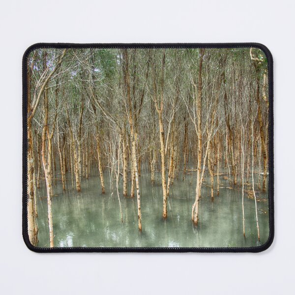 Item preview, Mangrove Forest - Thailand designed and sold by Kathy Weaver.