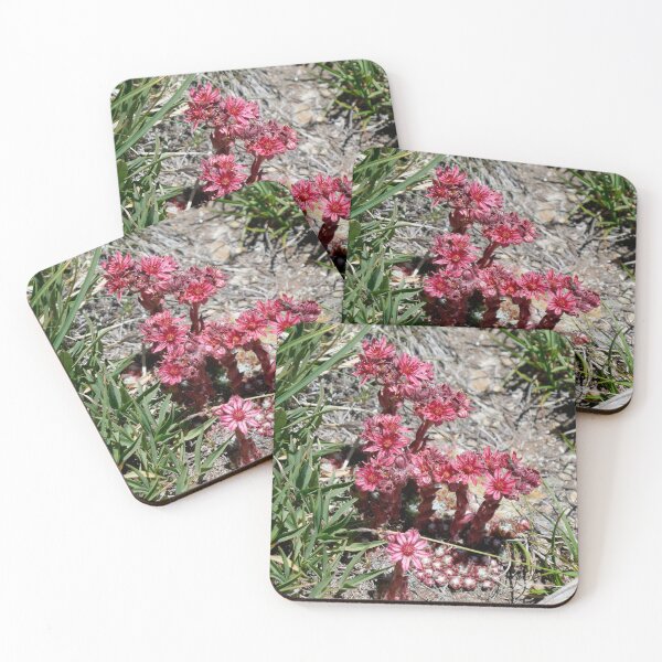 Item preview, nature, flora, europe, switzerland, mountain flowers, red, coral, photography, bebicervin designed and sold by BebiCervin.