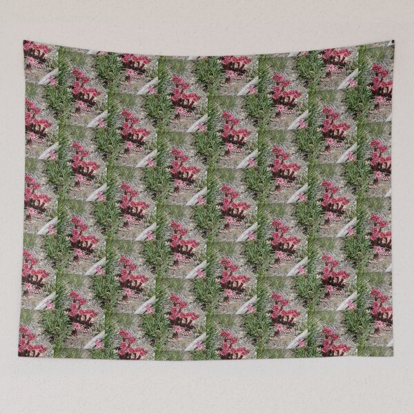 Item preview, nature, flora, europe, switzerland, mountain flowers, red, coral, photography, bebicervin designed and sold by BebiCervin.