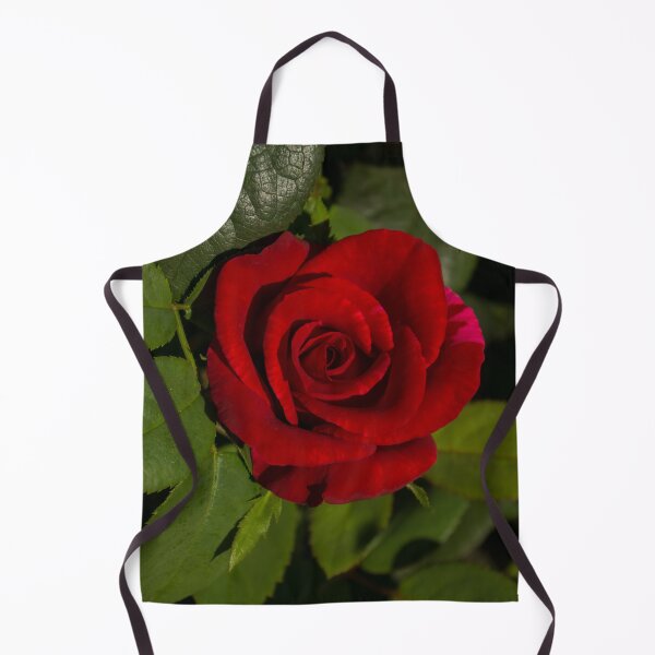 Item preview, A Scarlet Rose for my Love designed and sold by Georgia Mizuleva.