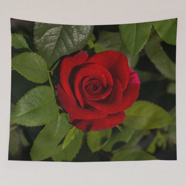 Item preview, A Scarlet Rose for my Love designed and sold by Georgia Mizuleva.
