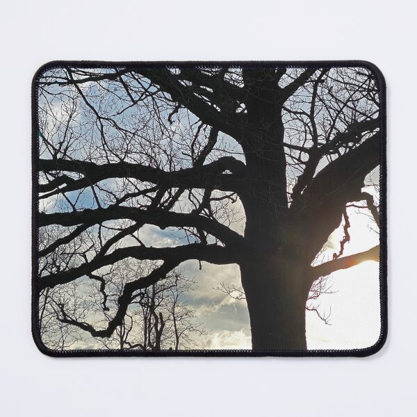 Item preview, Winter Tree and two Silhouettes designed and sold by Paddyb17.