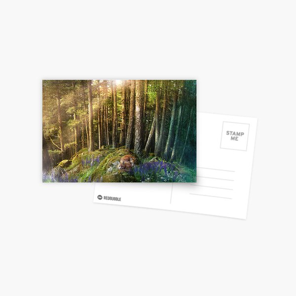 Fox Haven Postcard