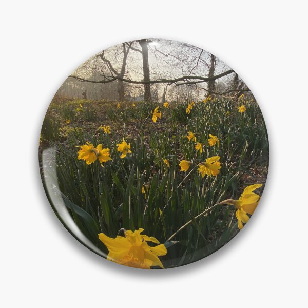 Aperçu de l'œuvre Jonquilles au coucher du soleil créée et vendue par Paddyb17.