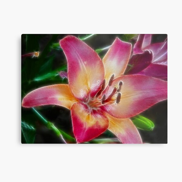 LILLYfractal Metal Print