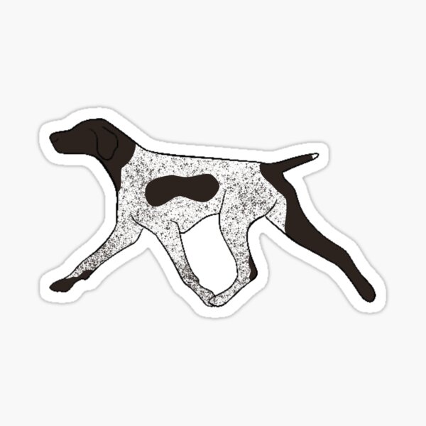 “Liver Patched And Ticked German shorthair pointer strutting " Sticker
