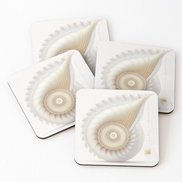 Item preview, White Pearl Fibonacci Golden Ratio Style   designed and sold by RAGANADesign.