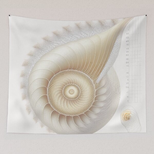 Item preview, White Pearl Fibonacci Golden Ratio Style   designed and sold by RAGANADesign.