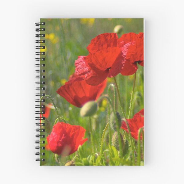 Item preview, Poppies in Yorkshire designed and sold by Dave Hare Photography.