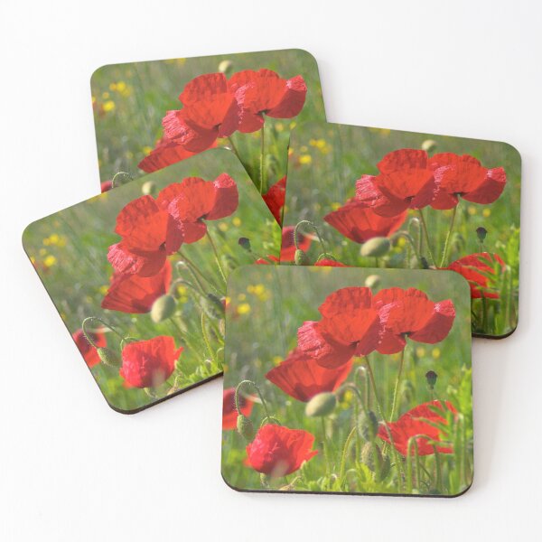 Item preview, Poppies in Yorkshire designed and sold by Dave Hare Photography.