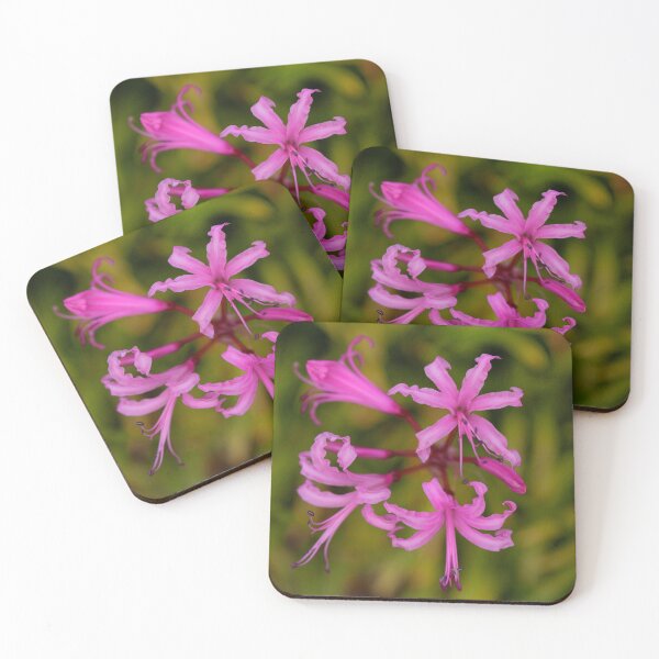 Item preview, Floral Anemones designed and sold by Dave Hare Photography.