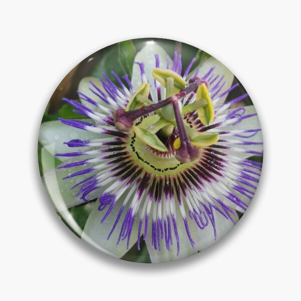 Item preview, passion flower designed and sold by Oceanleaf88.