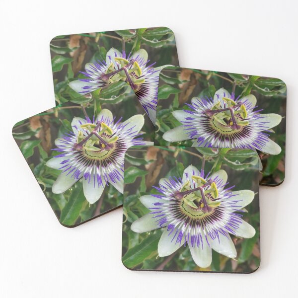 Item preview, passion flower designed and sold by Oceanleaf88.
