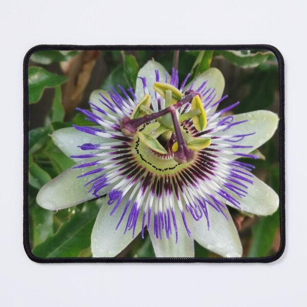 Item preview, passion flower designed and sold by Oceanleaf88.
