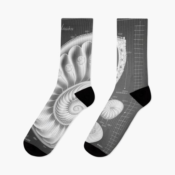 Artikelvorschau, White Pearl Fibonacci Golden Ratio Style entworfen und verkauft von RAGANADesign.