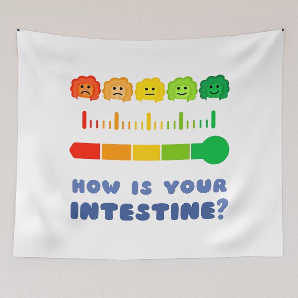 Item preview, Intestinal wellness thermometer icon, how is the health of your intestine. Ideal for training and educational materials designed and sold by LucianoCosmo.