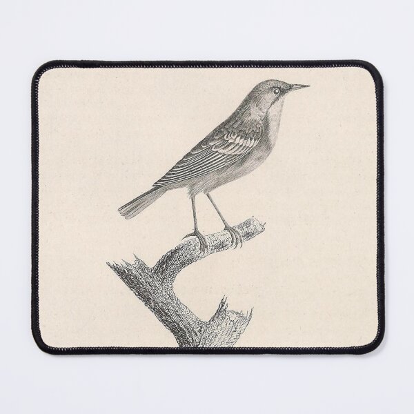 Item preview, The Yellow-headed Warbler designed and sold by ptMaker.