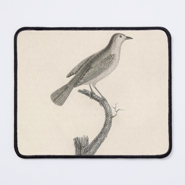 Item preview, The Bicolor Warbler designed and sold by ptMaker.